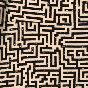 LuLaRoe Tall & Curvy leggings